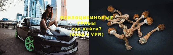 прущие крисы Алексин