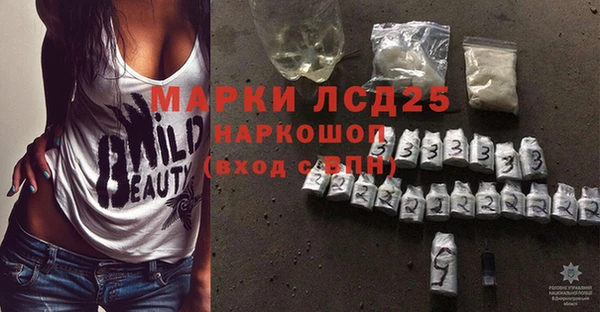 spice Алзамай