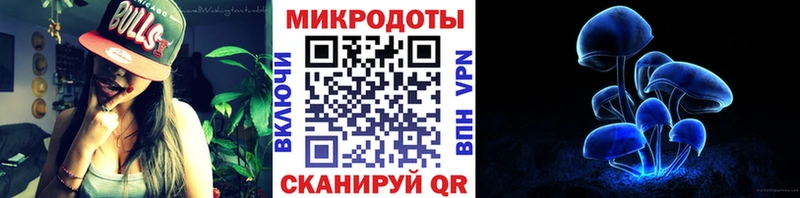 Галлюциногенные грибы мухоморы  купить наркоту  Заволжск 